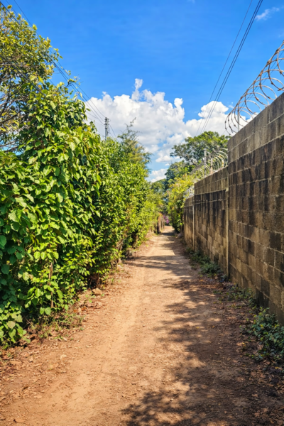 𝗟𝗢𝗧𝗜𝗙𝗜𝗖𝗔𝗖𝗜𝗢𝗡 𝗘𝗫𝗖𝗟𝗨𝗦𝗜𝗩𝗔 𝗘𝗡 𝗘𝗟 𝗕𝗢𝗤𝗨𝗘𝗥𝗢𝗡 𝗘𝗟 𝗦𝗔𝗟𝗩𝗔𝗗𝗢𝗥 – 𝗩𝗜𝗦𝗧𝗔 𝗨𝗡𝗜𝗖𝗔