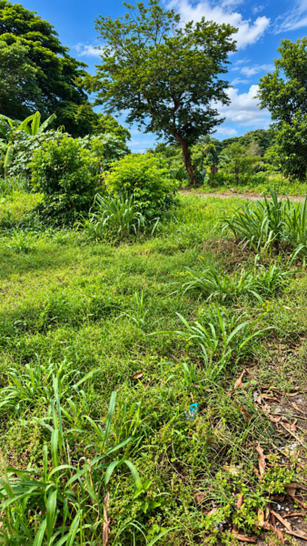 𝗧𝗨 𝗣𝗥𝗢́𝗫𝗜𝗠𝗢 𝗘𝗦𝗖𝗔𝗣𝗘 𝗣𝗨𝗘𝗗𝗘 𝗘𝗦𝗧𝗔𝗥 𝗔𝗤𝗨𝗜́ NAHUILINGO SONSONATE